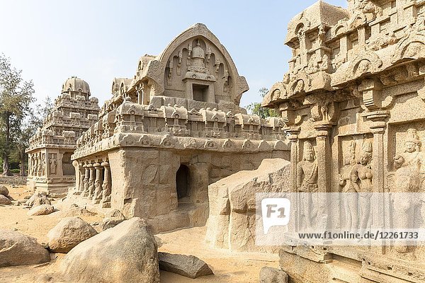 Die fünf Rathas  Bhima ratha  Mahabalipuram  Tamil Nadu  Indien  Asien