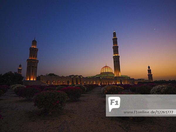 Abendstimmung  beleuchtete Große Sultan Qabus Moschee  Garten mit Rhododenderen  Muscat  Oman  Asien
