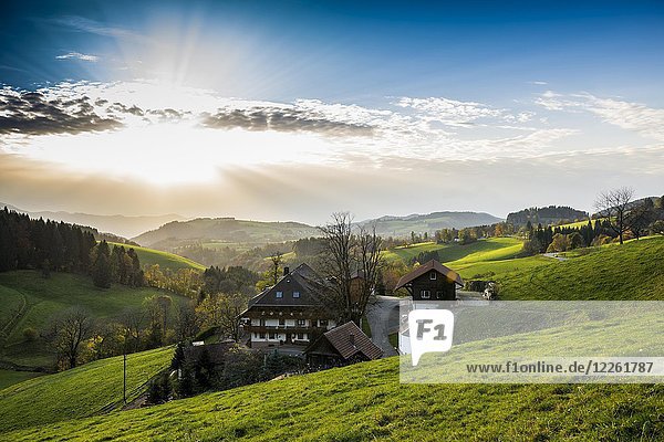 Blick auf hügelige Landschaft mit Bauernhaus  bei St. Märgen  Schwarzwald  Baden-Württemberg  Deutschland  Europa