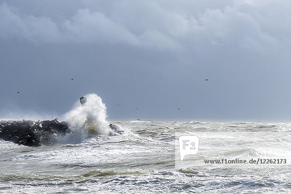 Mole mit Gischt bei starkem Wind und Wellen  Nordsee  Hvide Sande  Syddanmark  Dänemark  Europa