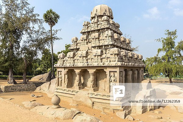 Die fünf Rathas  Yudhishthir ratha  Mahabalipuram  Tamil Nadu  Indien  Asien