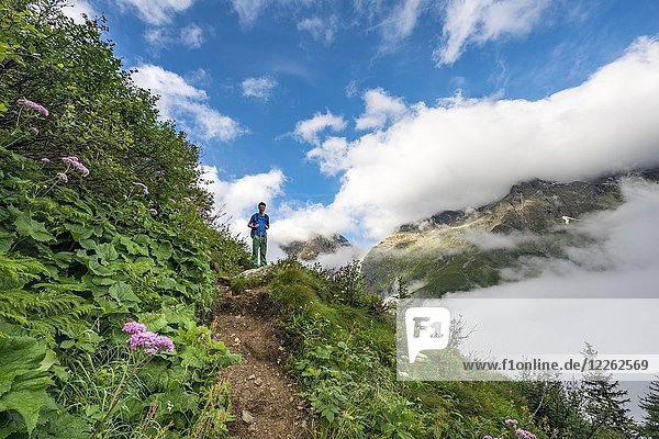 Wanderer auf Wanderweg  Aufstieg zum Greifenberg  Schladminger Höhenweg  Schladminger Tauern  Schladming  Steiermark  Österreich  Europa