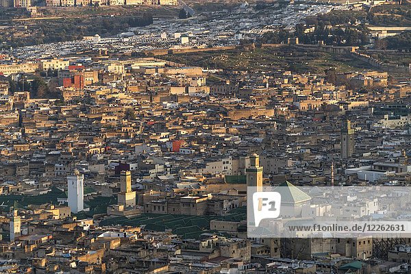 Stadtansicht  Medina mit Kairaouine Moschee  Fez  Marokko  Afrika