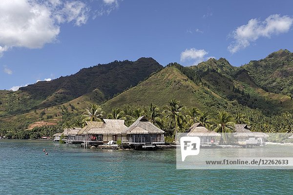Bungalows am Meer mit Palmen vor grünen Hügeln  Luxushotel  Interconti Resort  Moorea  Gesellschaftsinseln  Inseln unter dem Winde  Pazifik  Französisch-Polynesien  Ozeanien