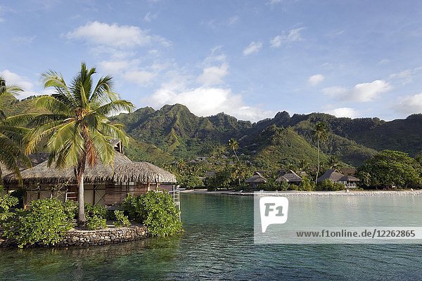 Bungalows am Meer mit Palmen vor grünen Hügeln  Luxushotel  Interconti Resort  Moorea  Gesellschaftsinseln  Inseln unter dem Winde  Pazifik  Französisch-Polynesien  Ozeanien