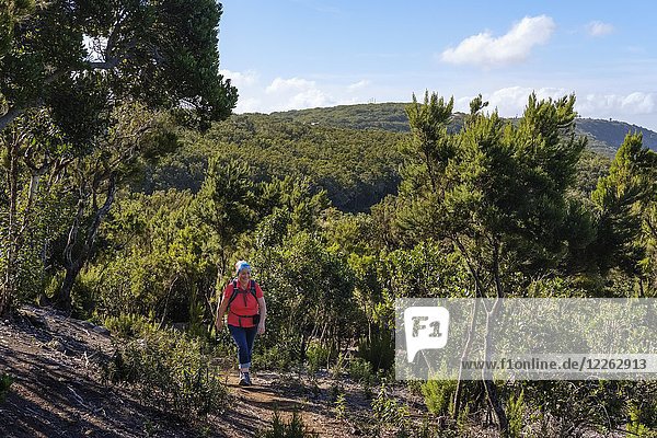Frau auf Wanderweg in Los Barranquillos  bei Vallehermoso  Nationalpark Garajonay  La Gomera  Kanarische Inseln  Spanien  Europa