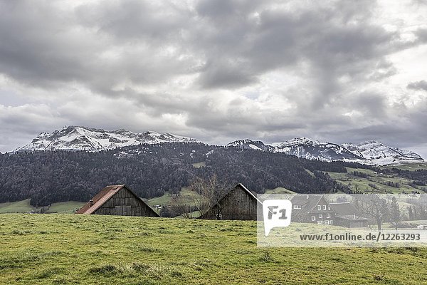Bauernhäuser vor dem Pilatus  Pilatuskette  Luzern  Schweiz  Europa