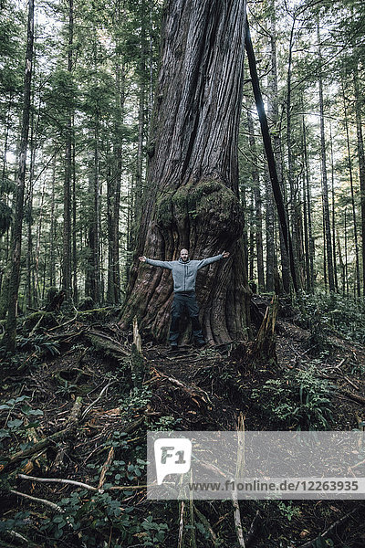 Kanada  British Columbia  Vancouver Island  Mann am Cape Scott Trail am Riesenbaum