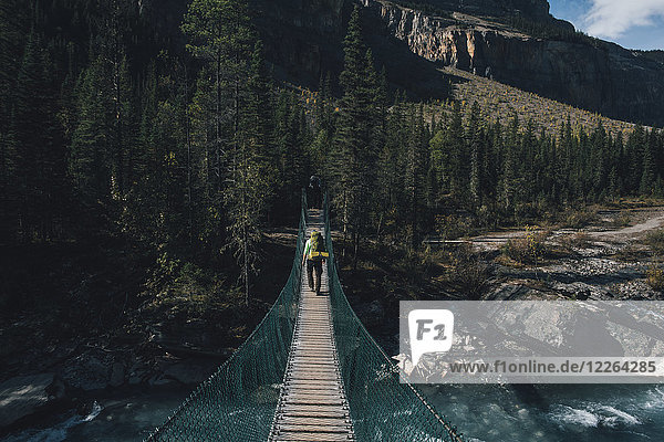 Kanada  British Columbia  Mount Robson Provincial Park  Mann auf Drehbrücke am Berg Lake Trail