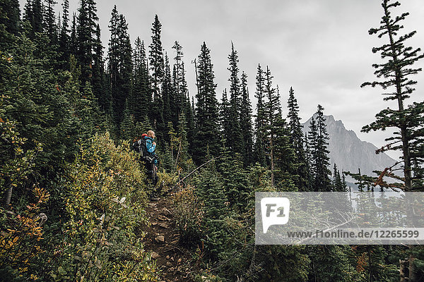 Kanada  British Columbia  Yoho Nationalpark  Wanderer auf dem Weg zum Mount Burgess