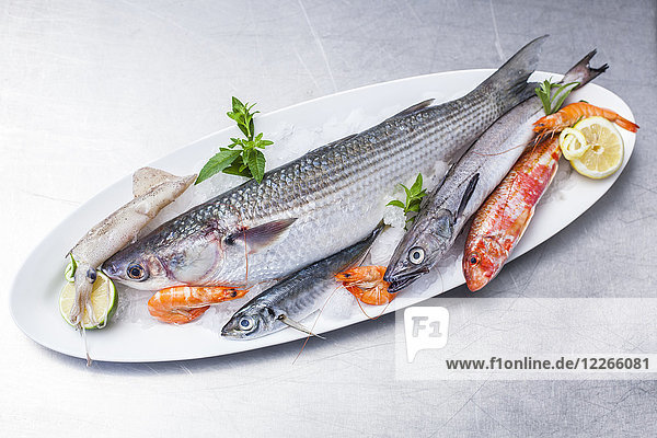 Teller mit rohem Fisch und Meeresfrüchten