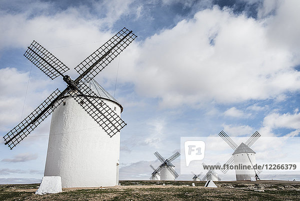 Spanien  Kastilien-La Mancha  Campo de Criptana  Windmühlen
