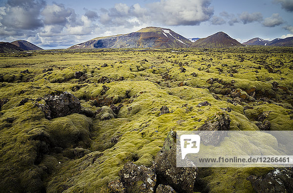 Island,  Südisland,  moosbewachsenes Vulkangestein