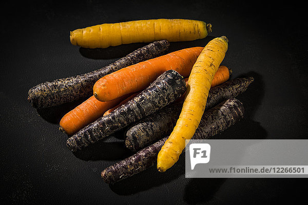 Verschiedene Karottensorten auf dunklem Grund