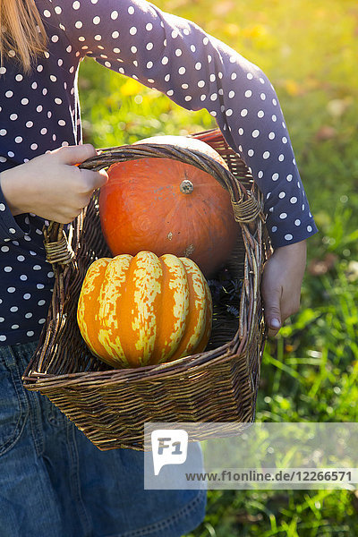 Girl carrying basket with pumpkins in autumn  partial view