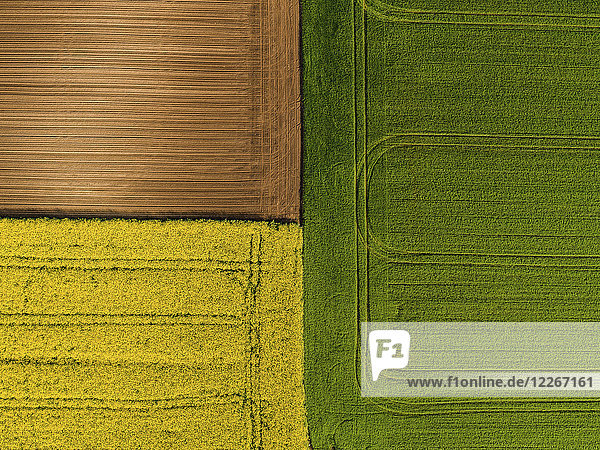 Serbien. Landwirtschaftliche Felder mit gelbem Rapsfeld,  Luftbild im Sommer