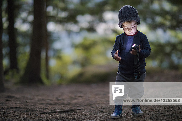 Boy holding and using headlamp in forest at evening  Harrison Hot Springs  British Columbia  Canada
