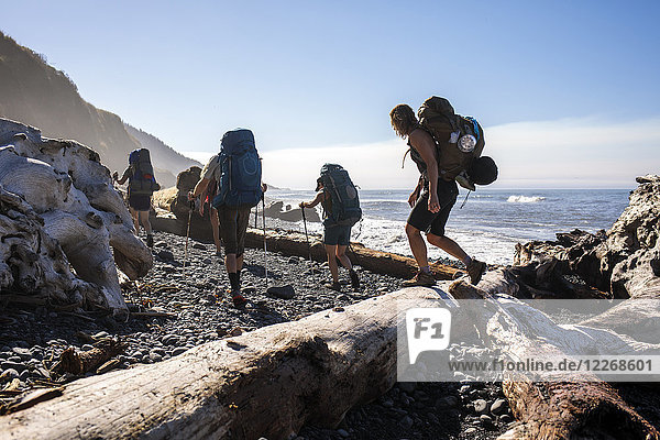 Rucksacktouristen beim Wandern am Strand  Lost Coast Trail  Kings Range National Conservation Area  Kalifornien  USA
