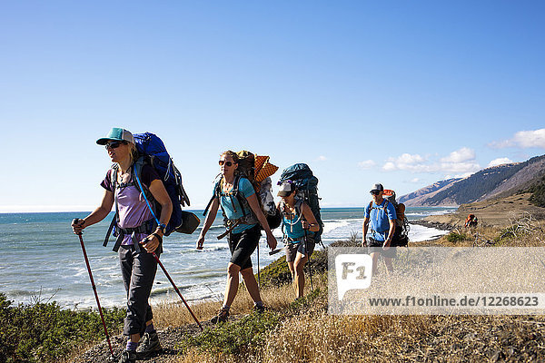 Backpackers hiking along coastline  Lost Coast Trail  Kings Range National Conservation Area  California  USA