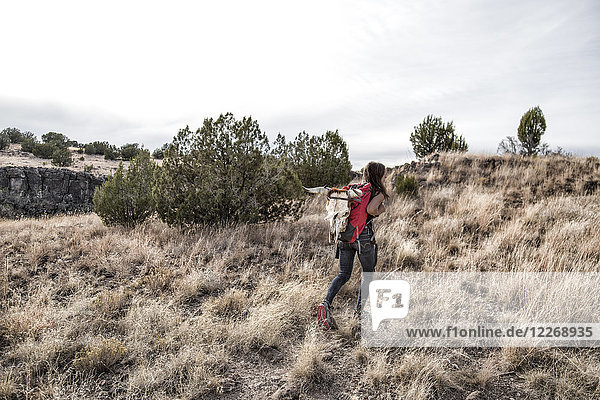 Woman hiking up hill after finding cow skull in desert  Prescott  Arizona  USA