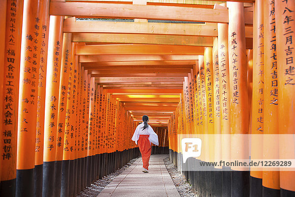 Rückansicht einer Frau  die entlang der Linie der traditionellen schwarzen und orangefarbenen Torii an einem japanischen Schrein geht.