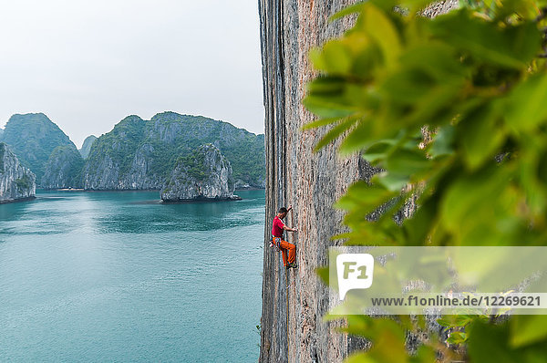 Mann klettert auf Kalksteinfelsen  Ha Long Bay  Vietnam