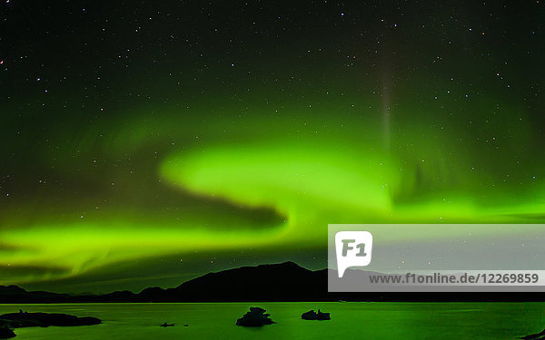 Polarlicht über dem Gebirge  Narsaq  Vestgronland  Grönland