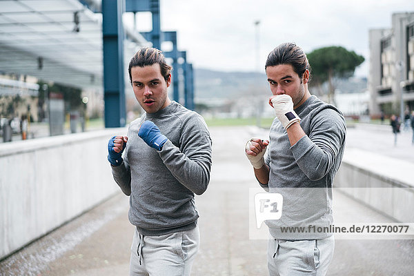 Identische männliche erwachsene Zwillingsboxer  die im Freien trainieren  Kampfstandportrait