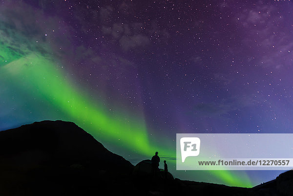 Touristen  die zu Aurora Borealis aufblicken  Narsaq  Vestgronland  Grönland