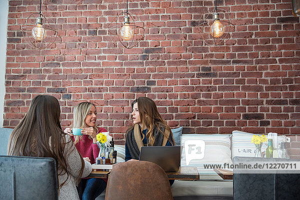 Freundinnen  die im Café sitzen  Kaffee trinken  einen Laptop benutzen