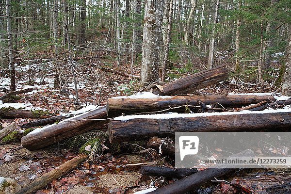 Flooding from Tropical storm Irene in 2011 uncovered railroad ties along the Pemi East Trail in the Pemigewasset Wilderness of Lincoln  New Hampshire USA.