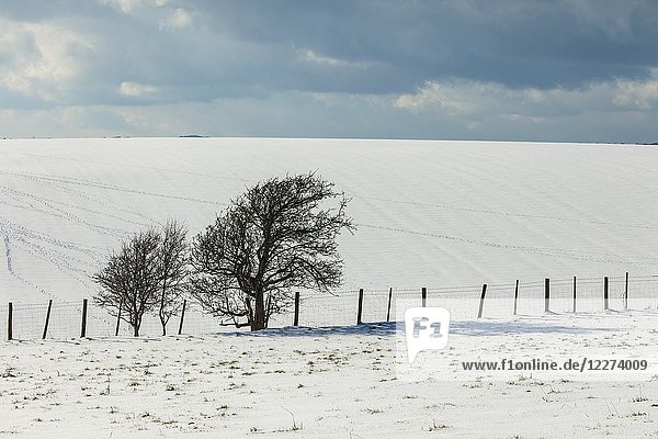 Snow on the fields of South Downs National Park  East Sussex  England.