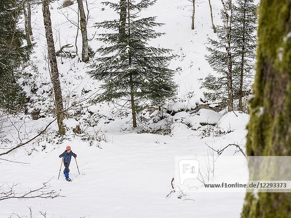 Girl snowshoeing in Black Forest  Germany  Europe