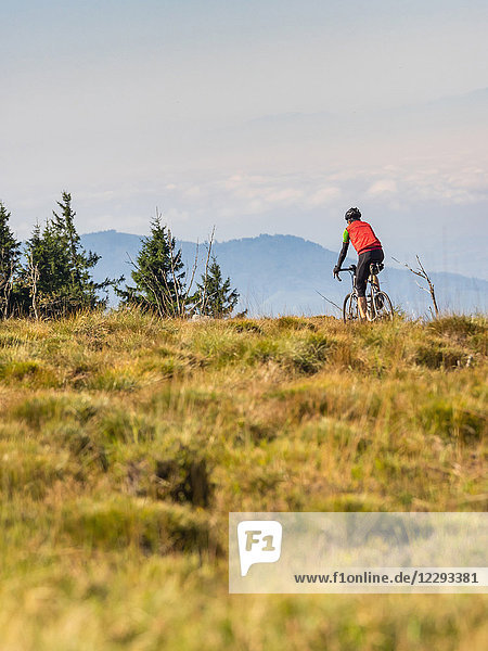 Man riding racing bicycle on cycling tour in the Northern Black Forest  Germany