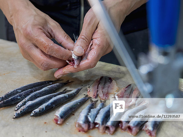 Close-up of man cleaning anchovy fish