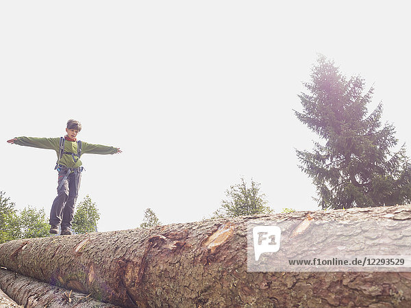 Mädchen balanciert auf umgestürztem Baumstamm  Wanderung im Schwarzwald  Feldberg  Baden-Württemberg  Deutschland