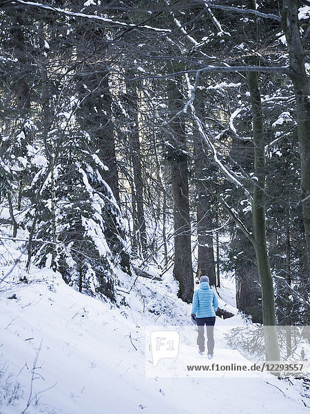 Frau wandert durch verschneiten Wald im Tal der Yach  Elzach  Schwarzwald  Baden-Württemberg  Deutschland