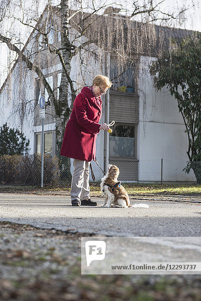 Alte Frau und Hund stehen auf der Straße mit Spielzeug