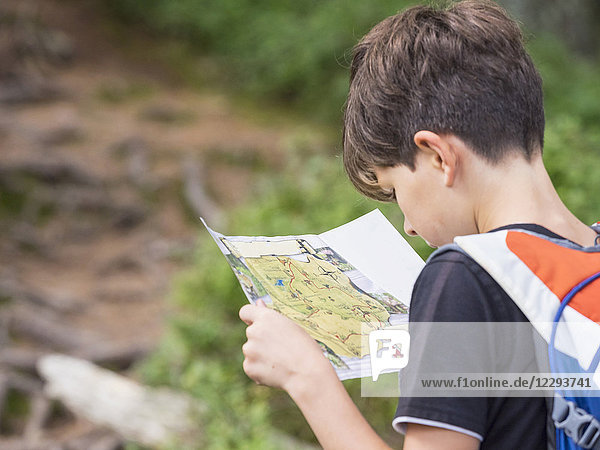 Girl looking at map in black forest  Feldberg  Baden-Württemberg  Germany