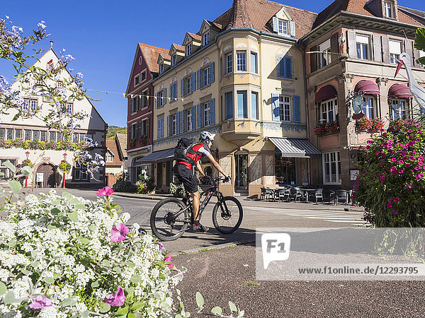Man riding electric mountain bike through the commune of Munster  Haut-Rhin  Vosges  France