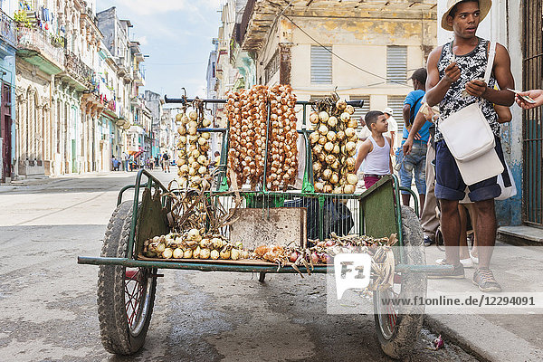 Street vendor selling onions  Havana  Cuba