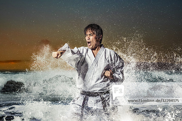 Bildkomposition eines japanischen Karateathleten
