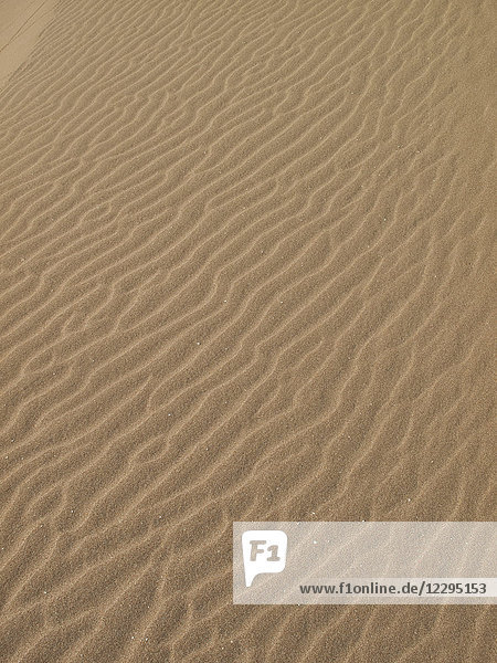 Vollbild-Aufnahme des Wellenmusters auf Sand in der Wüste