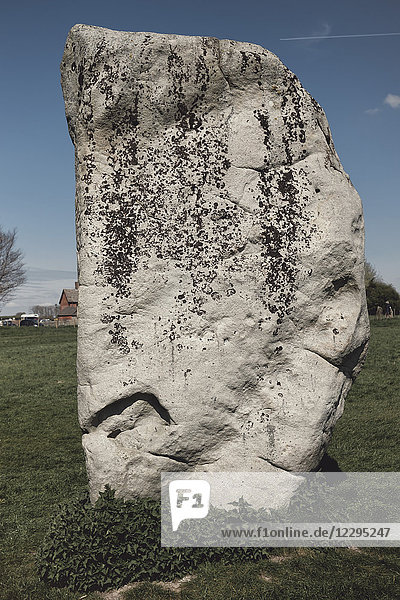 Stein im Feld gegen den Himmel  Avebury  Wiltshire  Großbritannien