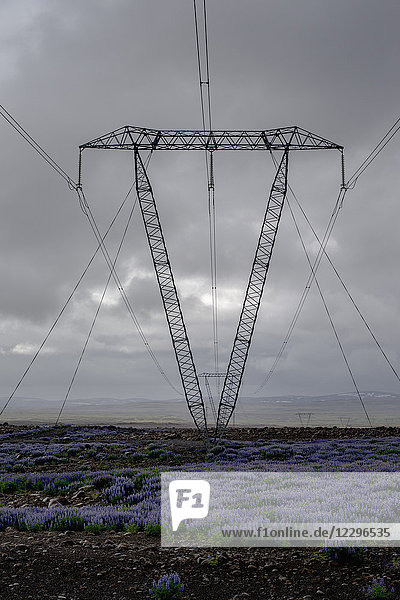 Strommast inmitten von Pflanzen auf dem Feld gegen bewölkten Himmel  Hochland  Island