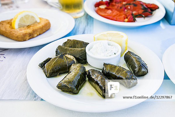 Griechische Dolmades  serviert mit Tzatziki-Sauce