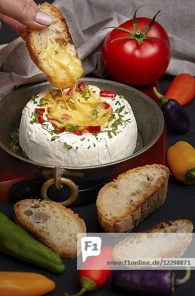 Frau taucht mit der Hand eine Scheibe Brot in geschmolzenen Camembert-Käse  gewürzt mit Kräutern und Paprika