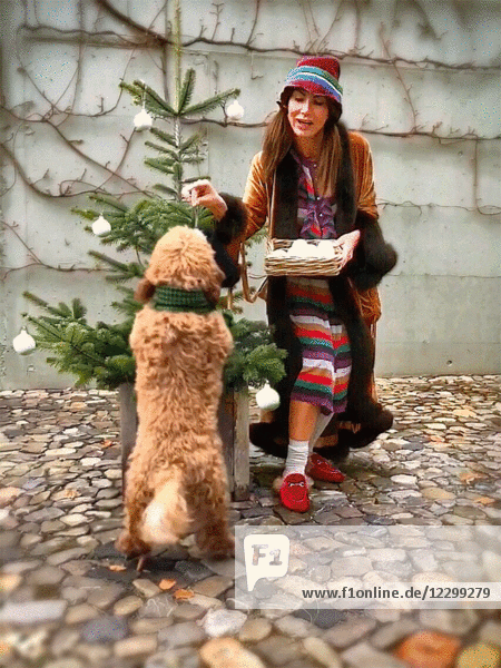 Frau spielt mit Hund beim Schmücken des Weihnachtsbaums im Freien