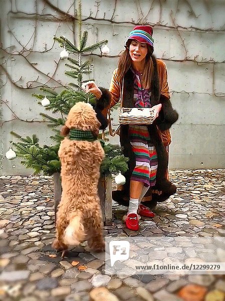 Frau spielt mit Hund beim Schmücken des Weihnachtsbaums im Freien