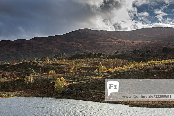 Tranquil autumn landscape  Glen Cannich  Scotland
